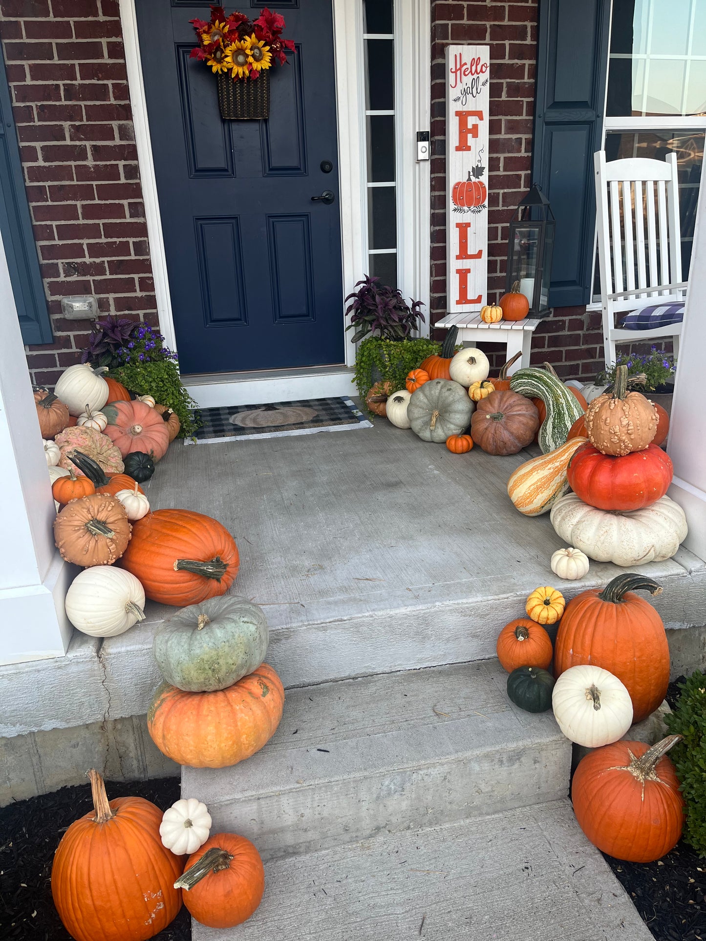 Pumpkin Patch 2