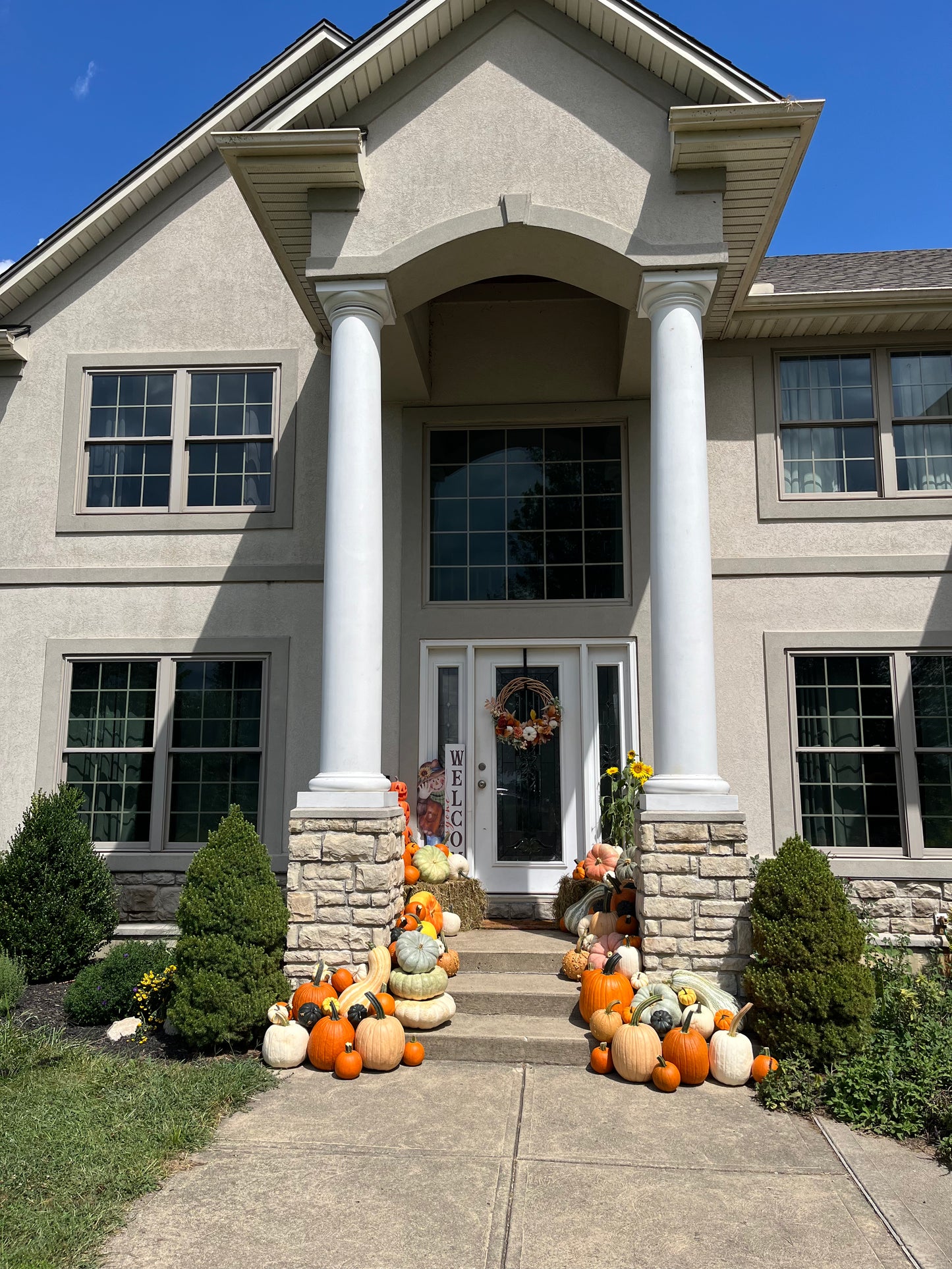 Pumpkin Patch 3