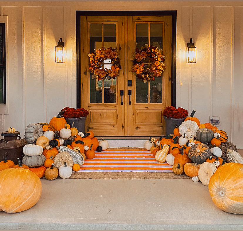 Pumpkin Patch 4