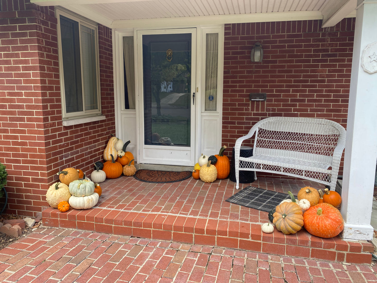 Pumpkin Patch 1