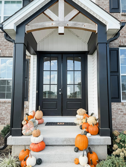 Pumpkin Patch 2