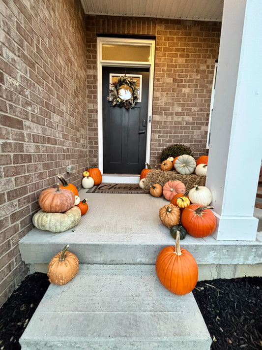 Pumpkin Patch 1