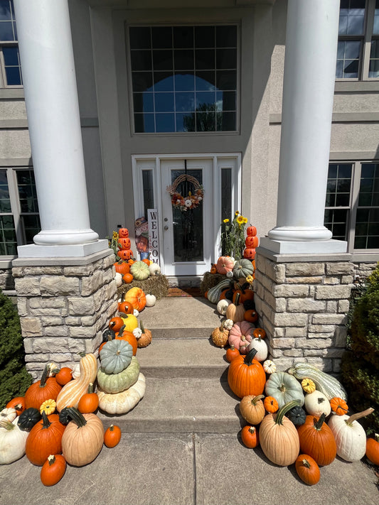 Pumpkin Patch 3